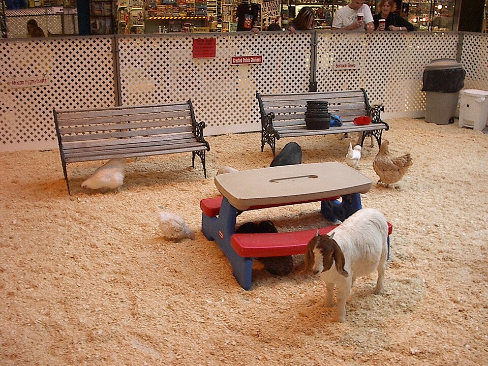 Kinderboerderij